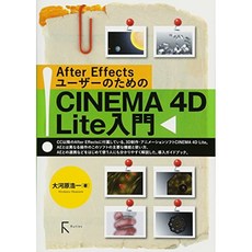 After Effects 사용자를위한 CINEMA 4D Lite 소개, 단일옵션