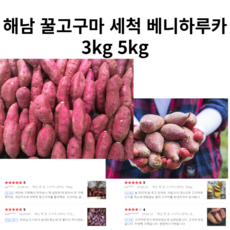 [산지직송] 해남 꿀고구마 세척 베니하루카 3kg 5kg 호박고구마, 중상(로얄과)5kg(+17500원), 2개