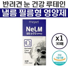 미펫낼름