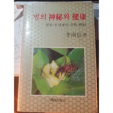 신비초판