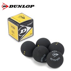 던롭스쿼시시합공인구