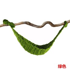 뉴본사진