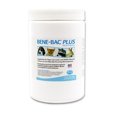 비니백플러스유산균