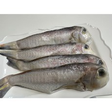 국내산 급냉 옥돔 1kg 생물 도미 옥도미, 1개
