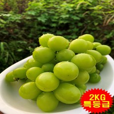 [프레시푸드마켓] 김천샤인머스켓 샤인머스캣 선물용 특등급 2KG 4KG, 샤인머스켓 4KG, 1개