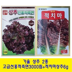 가을상추