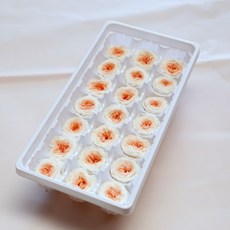 꽃화관클래스