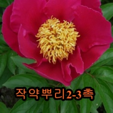 1dd36dc6372c2efff62ffc58f60628198b166c76ce1adadf6e54950c74a9.png