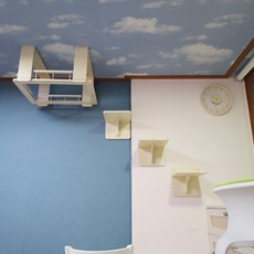 73a5fb3383724854fad4b0c80de81e72d2a7baf764e9b00e10898a9f2328.jpg