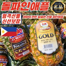 필리핀 Dole 스위티오 파인애플 2수 (2.4-2.8kg 내외), 2개
