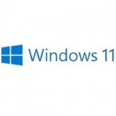 마이크로소프트 Windows 11 Home 처음사용자용 한글 정품 패키지 [FPP 설치USB포함], FPP 정품패키지