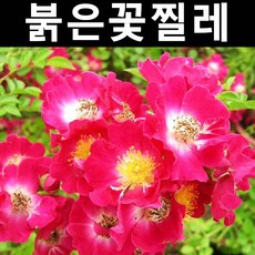af9247978eebb6bd811dc5ce27f0fd1bfc7987f9ec8c9ef84ddad56b8b03.jpg