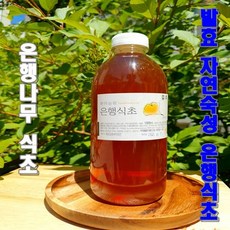 수제 숙성 은행 열매 식초 액상차 발효 1000ml 희석 농축액 음료 천연 조미료 효소, 은행식초 1000ml