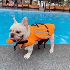 영재오플래쉬카드