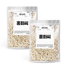 백장생 국내산 생 홍화씨, 600g, 2개
