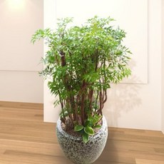 3f329fb412c9a27aaef10b8f41f46c4dc6833fc0f991be18374ed62f14b2.jpg