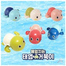 헤엄치는태엽거북이