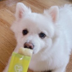 두루머리 사랑스런 강아지관절영양제 15g 5p, 관절 영양제, 5개