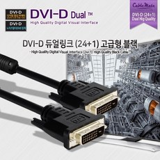 dvi듀얼링크