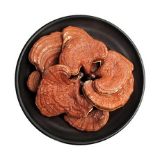 [동광한방몰] 영지버섯통 국내산, 1개, 500g