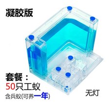 개미집 개미 공방 성 장원 별장 농장 관찰 케이스매우 빅사이즈 포장 2020, T03-D67-블루 램프(50개 작업자 개미)1년 인상