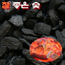 당일치기바베큐