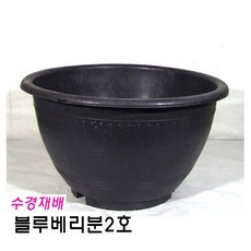 bfd8a44db9eb372dfbc2ef1adc9dc468e3e5a74b044fa11c9d559f69f7ed.jpg