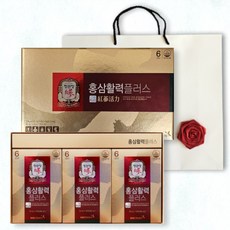 정관장 홍삼활력 플러스 꽃 코사지 수제 쇼핑백 포함 선물세트, 1200ml, 1개