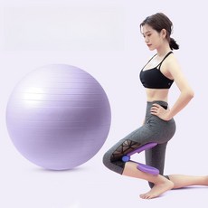  짐볼 홈트 아령 짐벌 필라 요가 필라테스기구 밸란스, I. 보라색요가공+보라색다리클립 