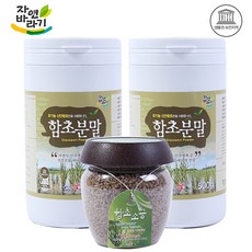 신안애 자연바라기 함초분말 500g 2통+함초소금 400g, 2통