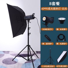 난라이트forza300