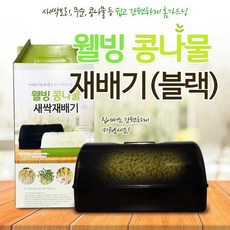 김구원콩나물키우기
