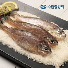 수협순살굴비