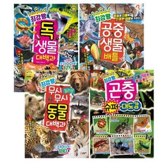최강왕시리즈