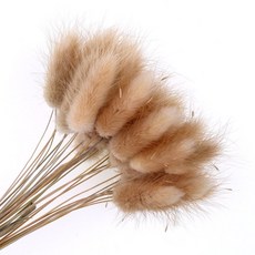 버니테일메르시가디건