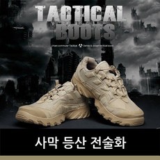 사막화전술화