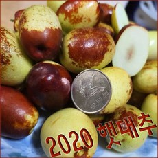 20년 햇대추 햇밤 제수용 왕특대만 선별 어떤 약품처리도 하지않았어요, 햇밤)일반 대