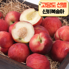 제철 신비복숭아 고당도선별 천도 달콤, 1개, 1kg (중과)