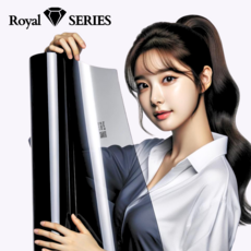 로얄시리즈 열차단 썬팅, Royal-101