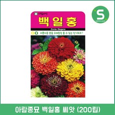 //상품명
