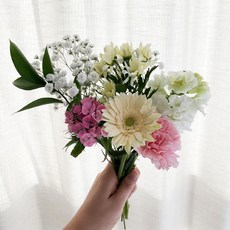 오후의 꽃 꽃정기배송 정기구독 꽃배달싼곳 생화택배 1회