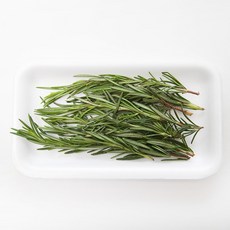 식용로즈마리