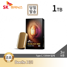 SK하이닉스 Beetle X31 Portable SSD 1TB DRAM 탑재 / 전용 케이스, 골드