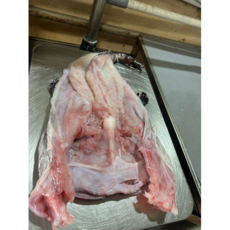 완도 손질 아귀 2미 3kg (손질후2kg) 아구찜 수육 아구탕 위간포함, 2마리 순살 (손질후2kg), 1개