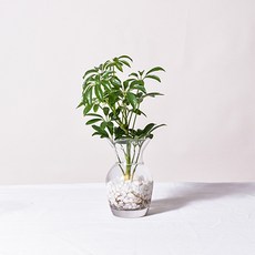 cdeecd066cdfd7f7b83ba7b7ab50d32ad398682c8696debb8fe40f457a60.jpg