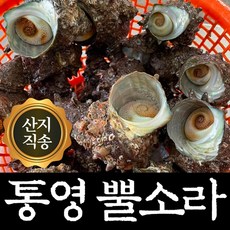 깨끗한 통영 뿔소라 홍 가리비 석화 굴 찜용 1kg 3kg 5kg, 1개, 뿔소라 1kg