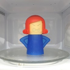 전자레인지스팀소독기