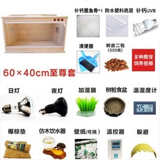 애완용 달팽이 키우기 노란색 여백 생태 사마귀 거북이 나비 사자 집 백와 흙 명주 분양, 60 × 40 × 40cm 일반 코스