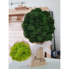 [100%천연모스]스칸디아모스 DIY KIT, 소, 행복한화분