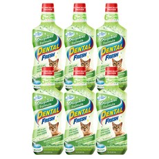  시너지랩 덴탈 후레쉬 캣 오리지널 구강청결제, 237ml, 6개 